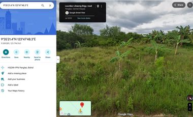 13,553 SQM | PRIME LAND NEAR PANGLAO AIRPORT – HIGH POTENTIAL INVESTMENT ✈️🌴
