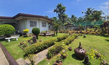 🏡 PRIME HOUSE & LOT FOR SALE IN Digos City – RARE 1,000 SQM PROPERTY!