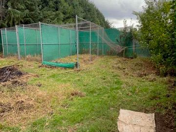 CASA CON AMPLIO TERRENO A 1 MIN CARR MÉXICO-TOLUCA, A UNA CUADRA DE LOS COCHINITOS