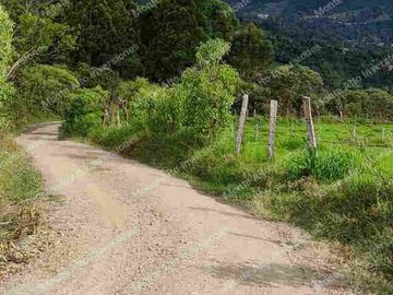 “TIERRA QUE PRODUCE, INVERSIÓN QUE CRECE” 20 mil metros dividido en potreros😊