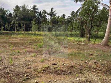 RESIDENTIAL LOT FEW STEPS FROM ALFONSO NATIONAL HIGHWAY!