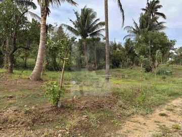 RESIDENTIAL LOT FEW STEPS FROM ALFONSO NATIONAL HIGHWAY!