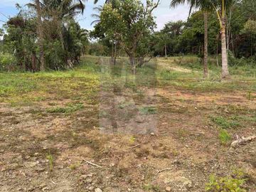 RESIDENTIAL LOT FEW STEPS FROM ALFONSO NATIONAL HIGHWAY!