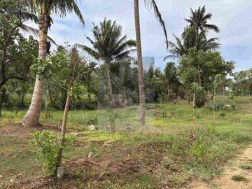 RESIDENTIAL LOT FEW STEPS FROM ALFONSO NATIONAL HIGHWAY!