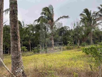 RESIDENTIAL LOT FEW STEPS FROM ALFONSO NATIONAL HIGHWAY!