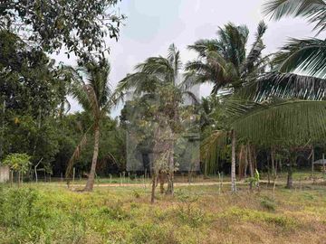 RESIDENTIAL LOT FEW STEPS FROM ALFONSO NATIONAL HIGHWAY!