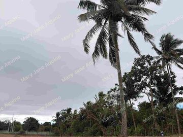 Resi-Farm near Government Center & PUP  in Alfonso