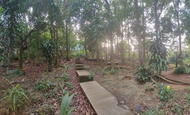 1,840 sqm residential lot in Maryridge Lane, Iruhin West, Tagaytay City, Cavite for sale