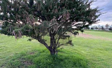 VENTA DE TERRENO EN EL BOSQUE COUNTRY CLUB FRENTE A CAMPO DE GOLF