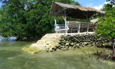 Income-generating Sea Front Dive Resort 423sqm Alegria
