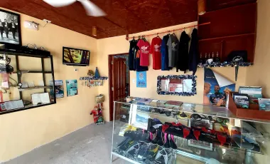 Income-generating Sea Front Dive Resort 423sqm Alegria