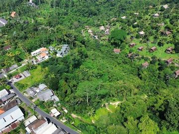 Tanah Lokasi Strategis Sebatu Ubud