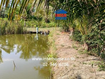 100 square wah (approximately 400 square meters) vacant land for sale. Located near Ban Bang Ho School, Soi Rong Nam Tan Jae Joy, Phetkasem Road (High