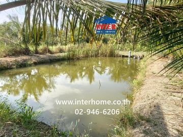 100 square wah (approximately 400 square meters) vacant land for sale. Located near Ban Bang Ho School, Soi Rong Nam Tan Jae Joy, Phetkasem Road (High