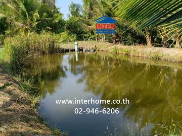 100 square wah (approximately 400 square meters) vacant land for sale. Located near Ban Bang Ho School, Soi Rong Nam Tan Jae Joy, Phetkasem Road (High