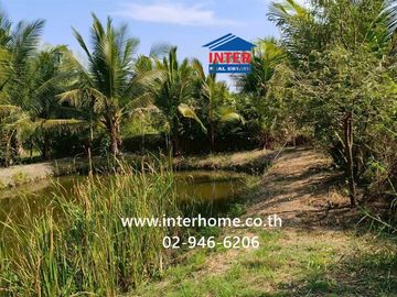 100 square wah (approximately 400 square meters) vacant land for sale. Located near Ban Bang Ho School, Soi Rong Nam Tan Jae Joy, Phetkasem Road (High