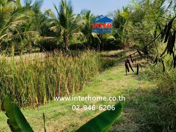 100 square wah (approximately 400 square meters) vacant land for sale. Located near Ban Bang Ho School, Soi Rong Nam Tan Jae Joy, Phetkasem Road (High