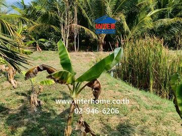 100 square wah (approximately 400 square meters) vacant land for sale. Located near Ban Bang Ho School, Soi Rong Nam Tan Jae Joy, Phetkasem Road (High