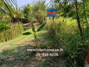 100 square wah (approximately 400 square meters) vacant land for sale. Located near Ban Bang Ho School, Soi Rong Nam Tan Jae Joy, Phetkasem Road (High