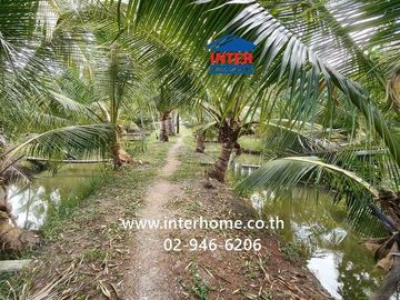Land + 1-story house, 4 rai 268 sq.wa. Land + house near Wat Khao Takerao, Soi Rong Nam Tan Jae Joy, Phetkasem Road (Highway 1004), Khao Yoi, Phetchab