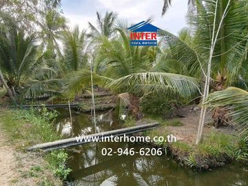 Land + 1-story house, 4 rai 268 sq.wa. Land + house near Wat Khao Takerao, Soi Rong Nam Tan Jae Joy, Phetkasem Road (Highway 1004), Khao Yoi, Phetchab