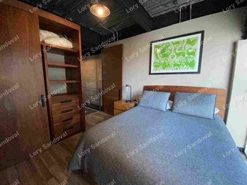 HERMOSO DEPARTAMENTO DUPLEX AMUEBLADO EN RENTA POLANCO