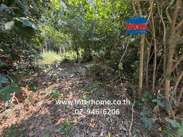 Vacant land, 420 sq.wa. (approximately 1,198 sq.m.), Baan Ao Village, near Phak Hai School, Highway No. 33 and Highway No. 3454, Phak Hai, Phra Nakhon