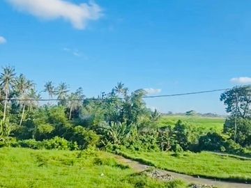Rumah View Sawah Kediri Tabanan Bali