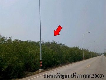 Z3A1017 ขายที่ดินเปล่า ตำบล บางแก้ว อำเภอ เมืองสมุทรสงคราม จังหวัด สมุทรสงคราม