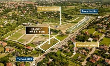 Commercial Lot for Sale in Daang Hari | Near MCX SLEX Skyway | Prime Location