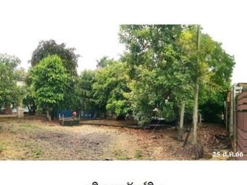 ZHL0060 ขายบ้านเดี่ยว ตำบล ต้า อำเภอ ขุนตาล จังหวัด เชียงราย