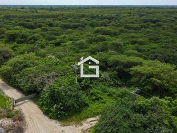 Terreno en Venta en Huaquillas – 10 Hectáreas con Alto Potencial de Desarrollo.