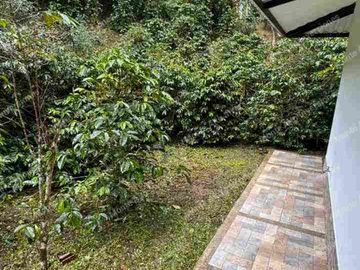 LOTE en venta 3000 m mango Apto para lo que quieras!! todo al día 
💵 ¡PRECIO DE OPORTUNIDAD! Por debajo del avalúo comercial.