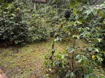 LOTE en venta 3000 m mango Apto para lo que quieras!! todo al día 
💵 ¡PRECIO DE OPORTUNIDAD! Por debajo del avalúo comercial.