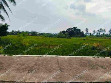 Dijual tanah sawah cibalagung cianjur jawa barat