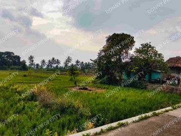 Dijual tanah sawah cibalagung cianjur jawa barat