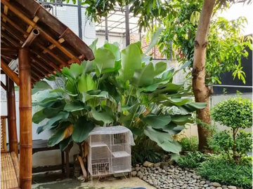 Rumah Di Kalasan Residence Jl Candi Kalasan Timur Kalipancur Ngaliyan