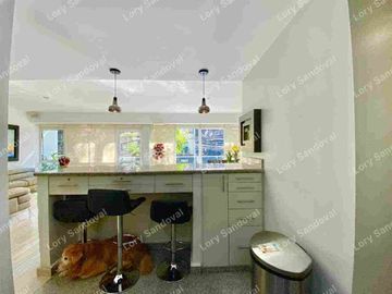 HERMOSO DEPARTAMENTO AMUEBLADO CON TERRAZA PRIVADA RENTA EN POLANCO
