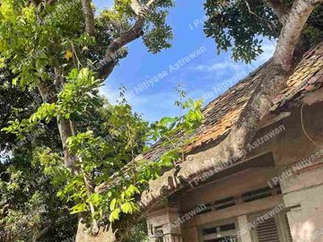 Dijual Bangunan/Rumah Antik Zaman Kolonial dengan Luas Tanah 13,82 are di Desa Pergung, Mendoyo, Jembrana, Bali