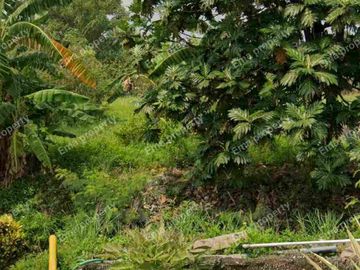 Dijual lahan murah di Pandan Sumberejo Pandaan Pasuruan
