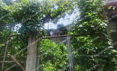 Lot For Sale in Quezon City Banlat Road Tandang Sora