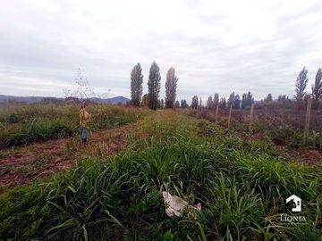Parcela Plana 2.615 m² – San Vicente de Tagua Tagua