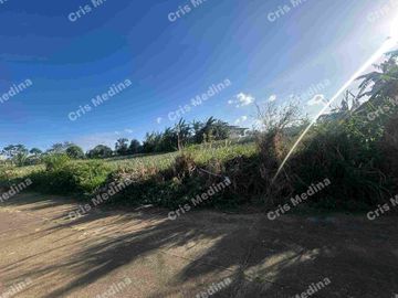 Residential/Farm Lot for Sale in  Rodeo Countryside Estate Alfonso Cavite