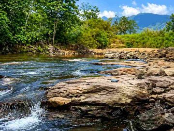 Jual Tanah 12ha Desa Pucak Maros, Ada Sungai Dilokasi