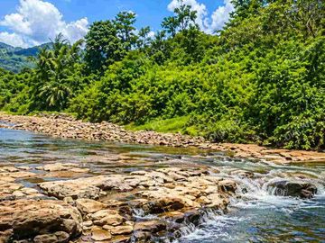 Jual Tanah 12ha Desa Pucak Maros, Ada Sungai Dilokasi