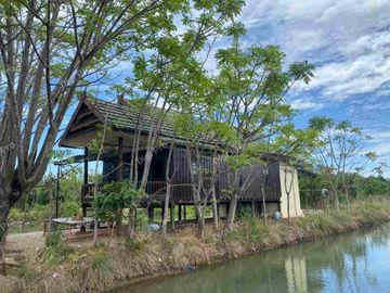 Jual Empang Produktif Luas 2.3ha SHM Lengkap Rumah Kayu