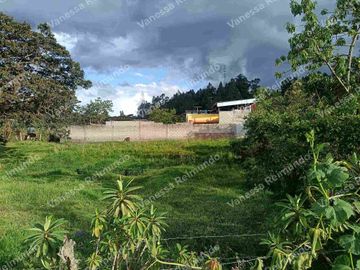 Terreno en venta sector Cotogchoa