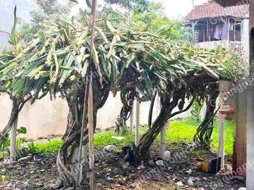Dijual Kantor Notaris di Kawasan STRATEGIS Lingkar Selatan - BuahBatu (MainRoad)