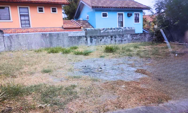 NEGOTIABLE! 153 sqm Residential Lot for Sale in Molino 3, Cavite City | Ponticelli Hills by Crown Asia