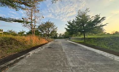 Alegria Hills Phase 2 Residential Lot 459 sqm